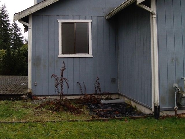 Beautiful And Affordable Diy Backyard Makeover Single Girl S Diy