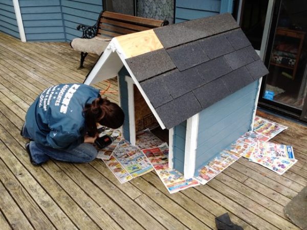 Make a custom doghouse
