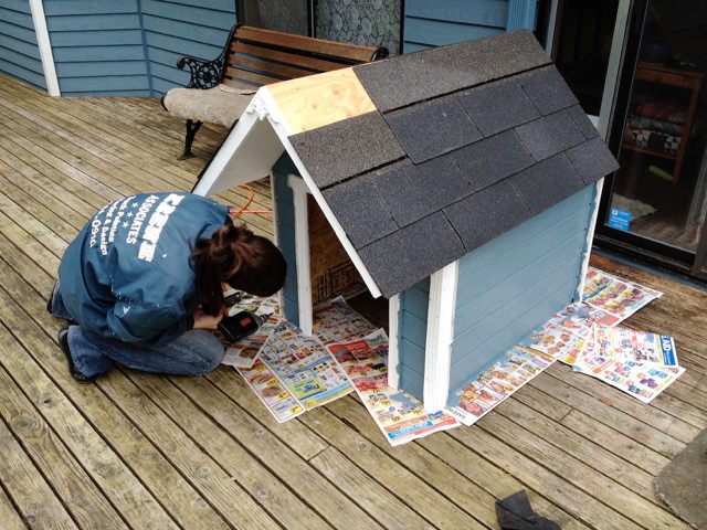 Make a custom doghouse