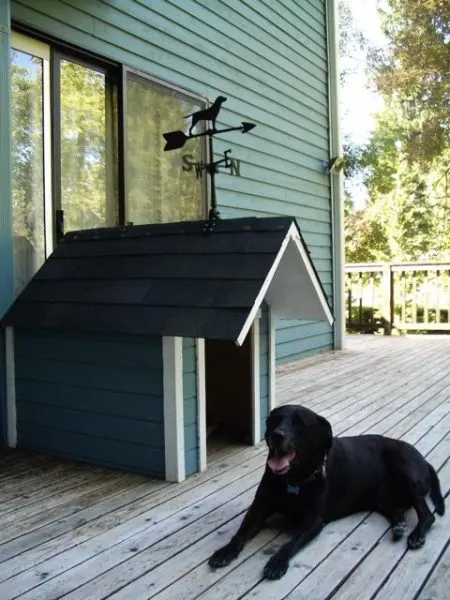 Doghouse with weather vane
