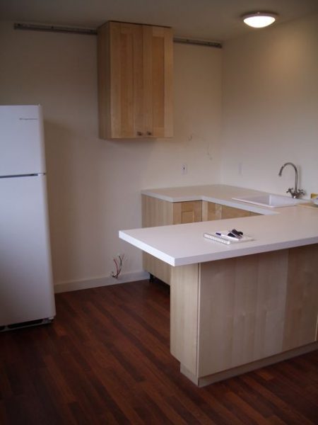Studio apartment kitchen
