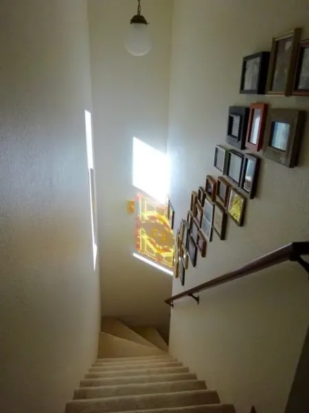 Stairwell photo gallery wall