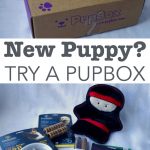 PupBox toys review