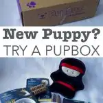 PupBox toys review