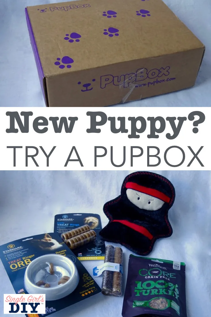 PupBoxReview