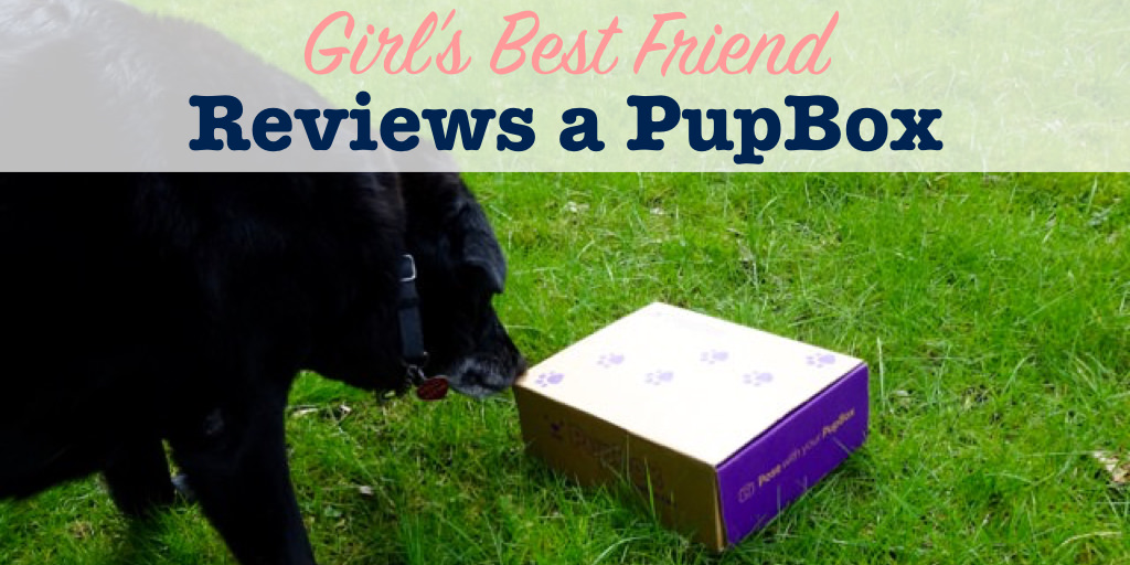 PupBox Review