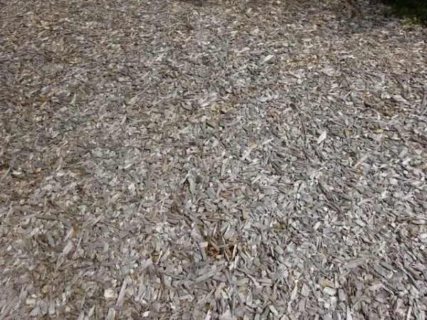 Lawn replacement wood chips