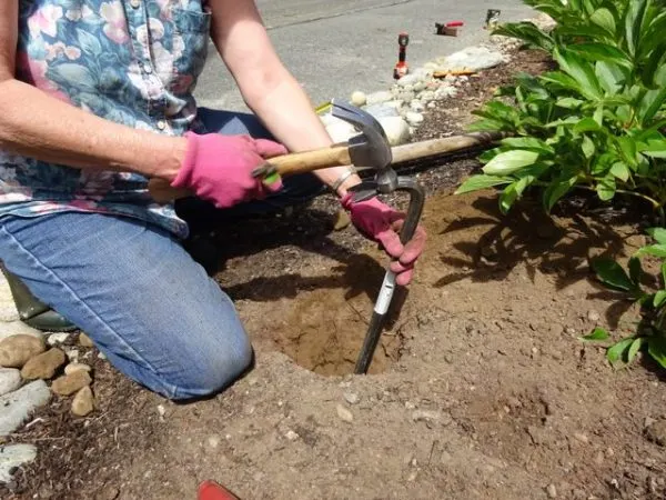 woman using a crowbar to loosen rocks in dirt