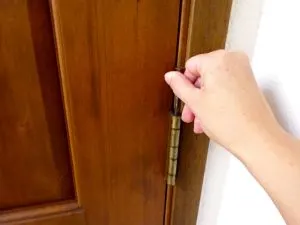 Remove a door hinge pin