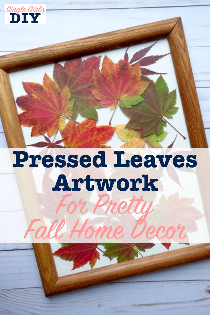 DIY Pressed Leaf Art in a Frame Single Girl's DIY