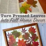 How to press leaves to preserve color