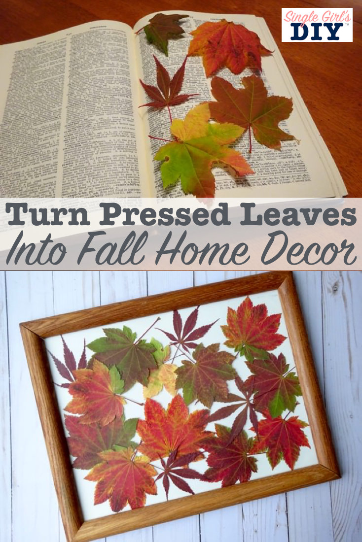 DIY Pressed Leaf Art in a Frame Single Girl's DIY