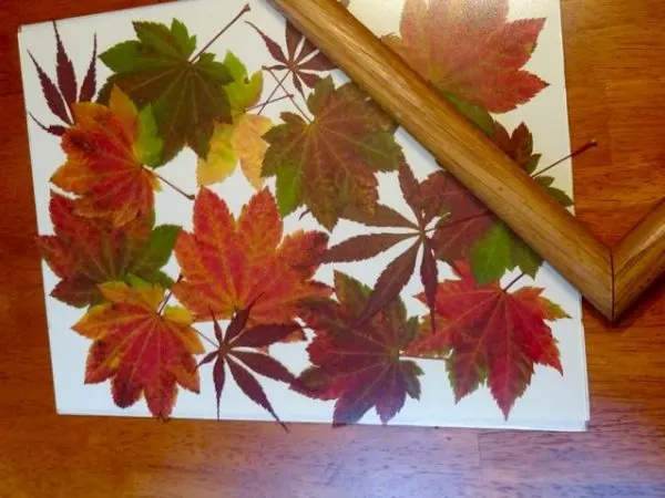 Pressed leaves artwork