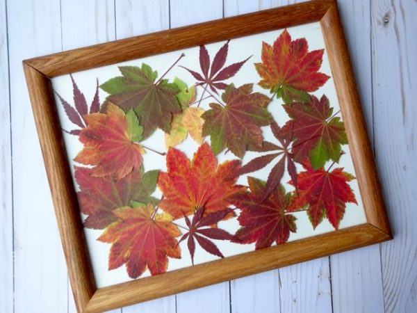 Easy DIY pressed leaves artwork