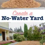 Create a no-water yard