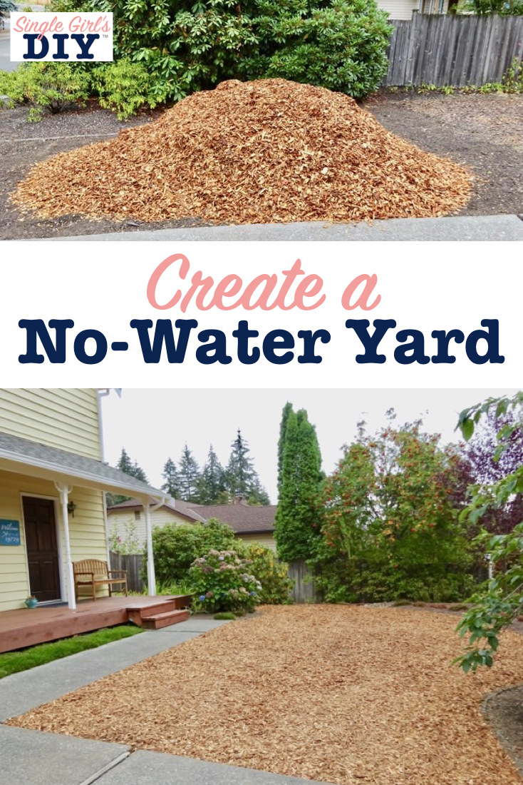 How To Create A No Water Yard Single Girls Diy 2295