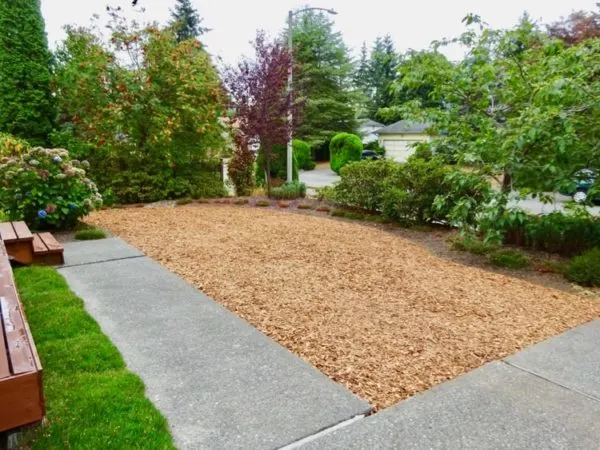 Wood chips replace lawn