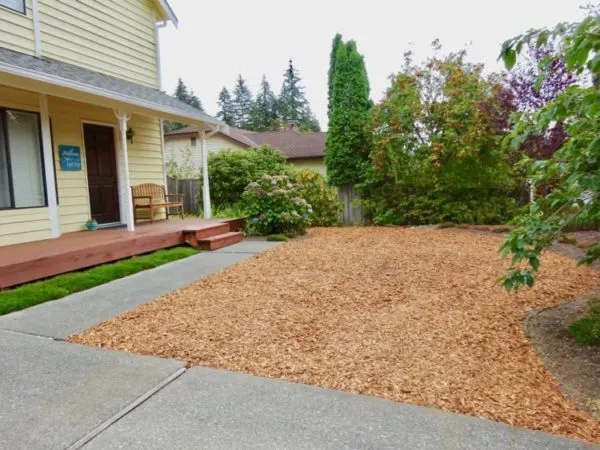 Image of Wood chip mulch grass