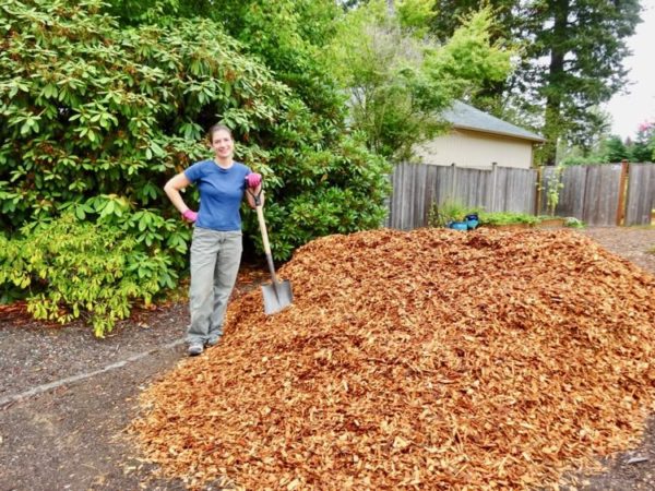 Wood chips to replace grass
