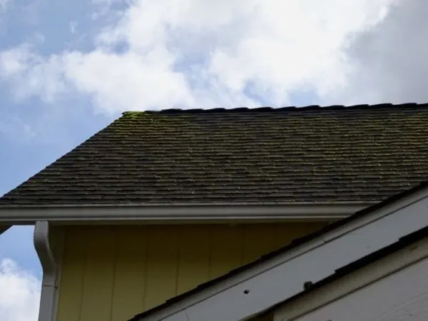 Spring Home Maintenance roof care