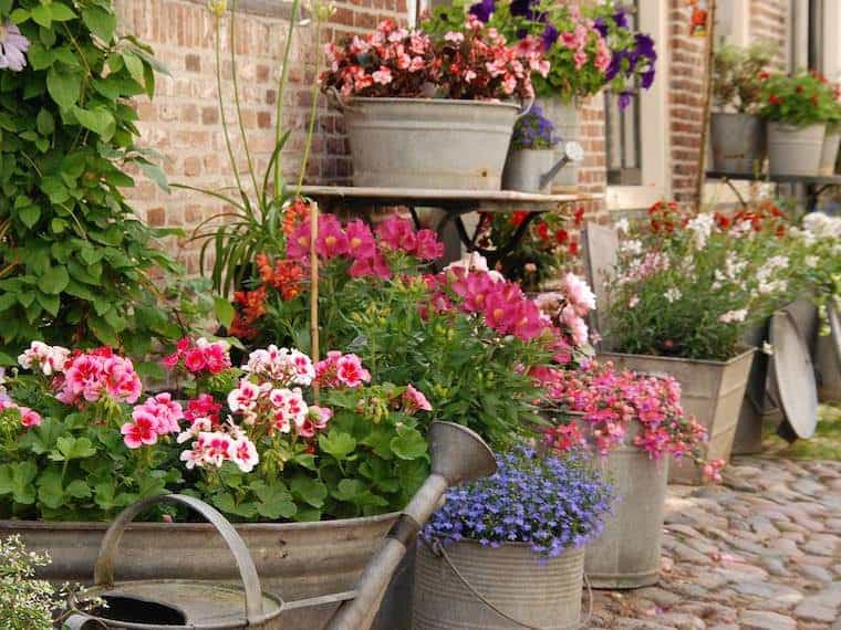 Spring DIY Home Care