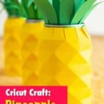 custom paper drink koozies in pineapple shape