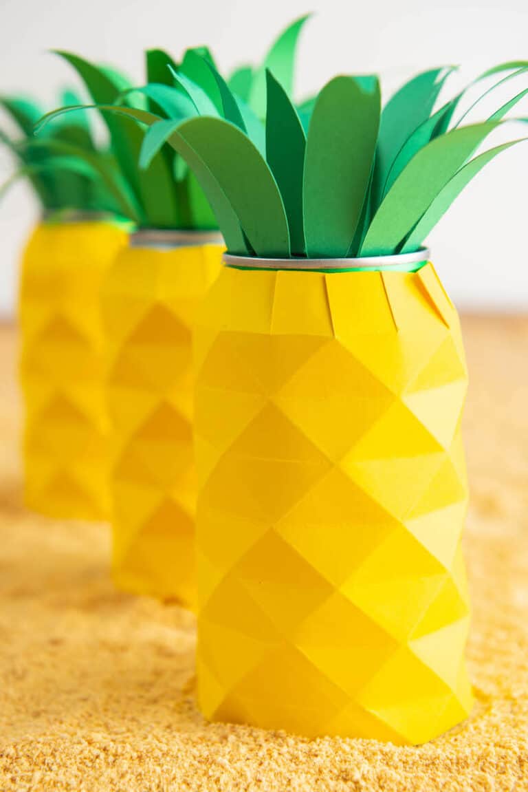 Tropical Pineapple Can Koozie Cricut Craft Single Girl's DIY