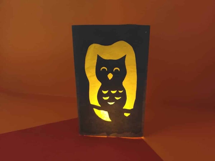 paper luminary with owl cut out