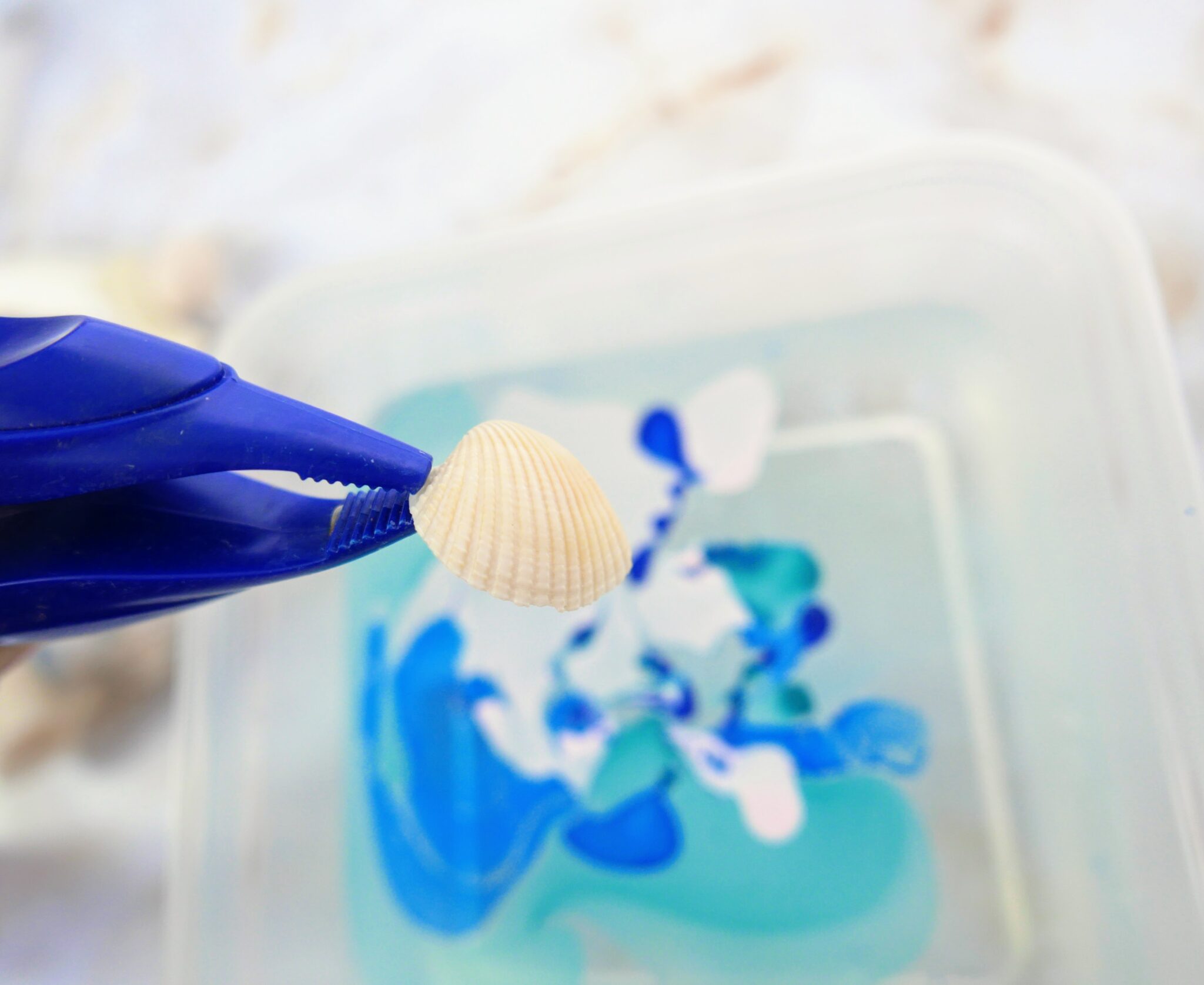 How to Paint Seashells with Nail Polish Single Girl's DIY