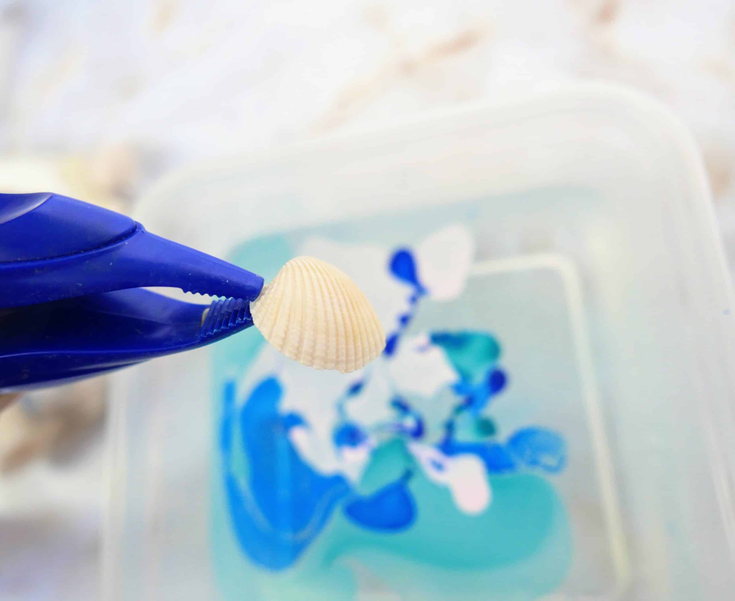 How to Paint Seashells with Nail Polish Single Girl's DIY