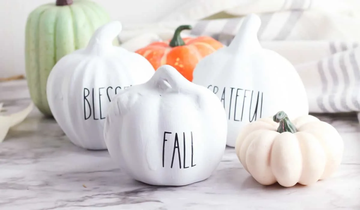 NEW RAE DUNN LL Farm Fresh Pumpkins Kitchen Towels & BLESSED