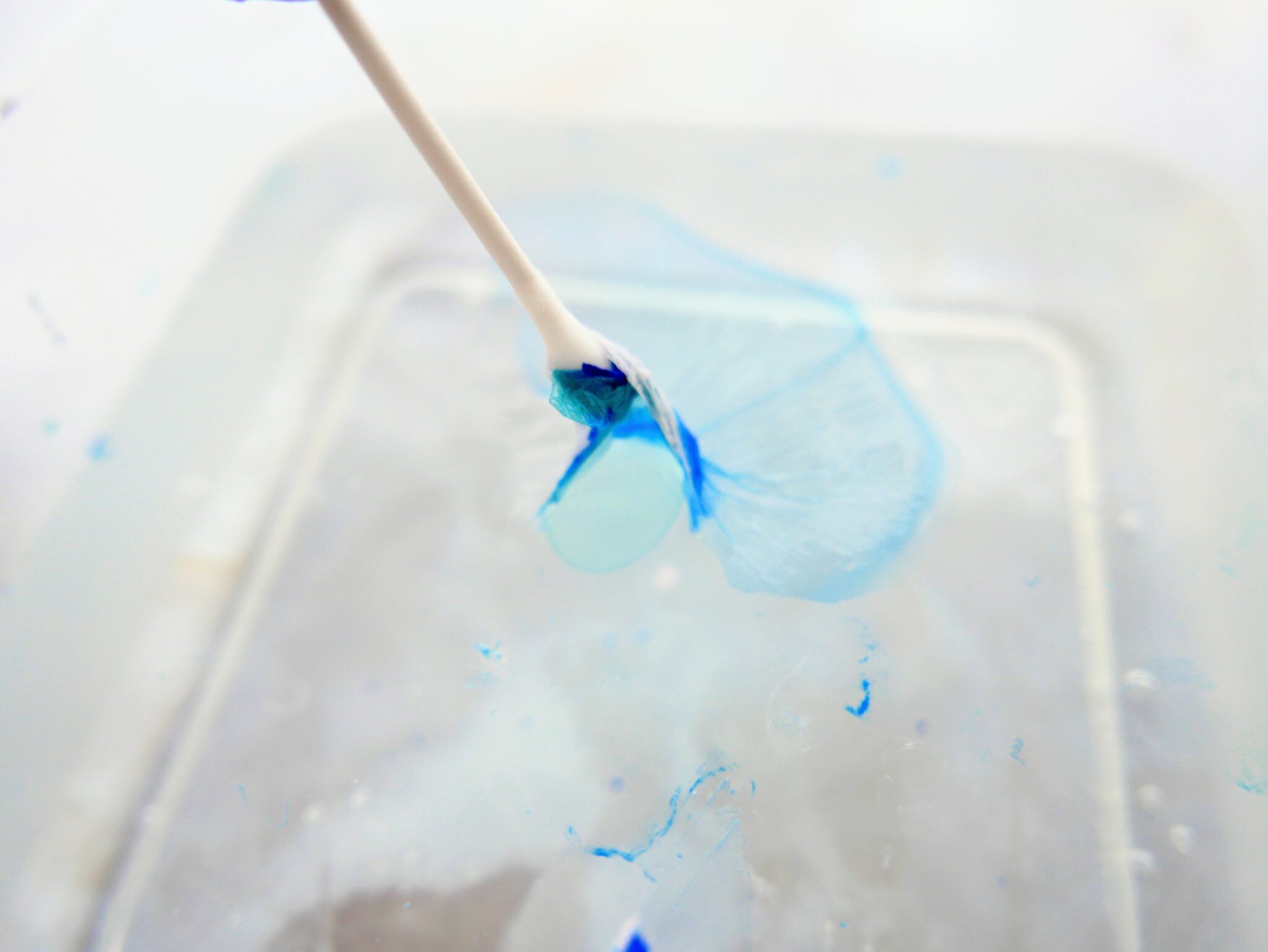 How to Paint Seashells with Nail Polish Single Girl's DIY