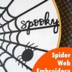 closeup image of spooky spider web embroidery hoop