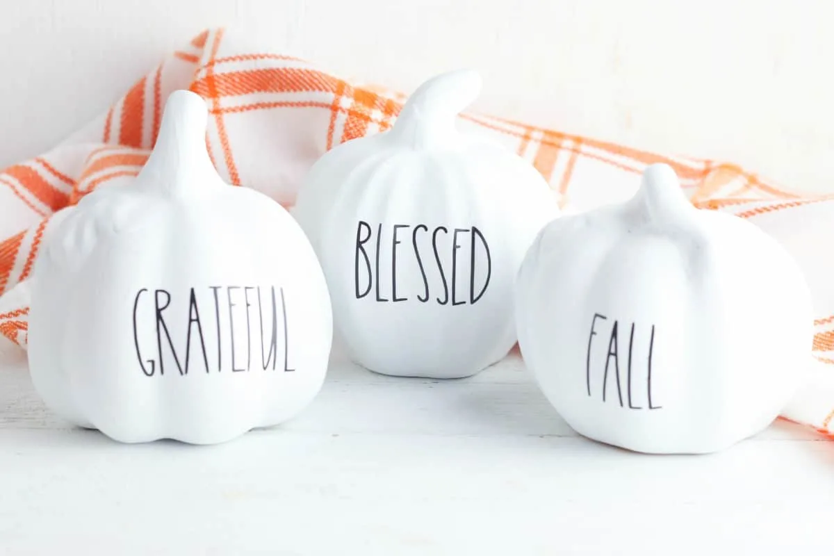 https://singlegirlsdiy.com/wp-content/uploads/2020/08/cricut-pumpkins-for-thanksgiving.jpg.webp