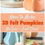 3D Felt pumpkin closeup final images