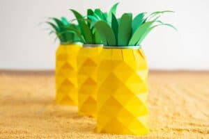 Tropical Pineapple Can Koozie: Cricut Craft - Single Girl's DIY