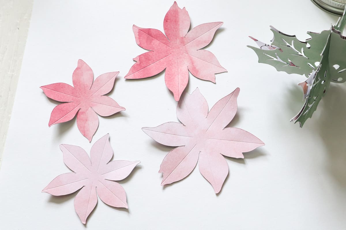 red paper poinsettia flower parts