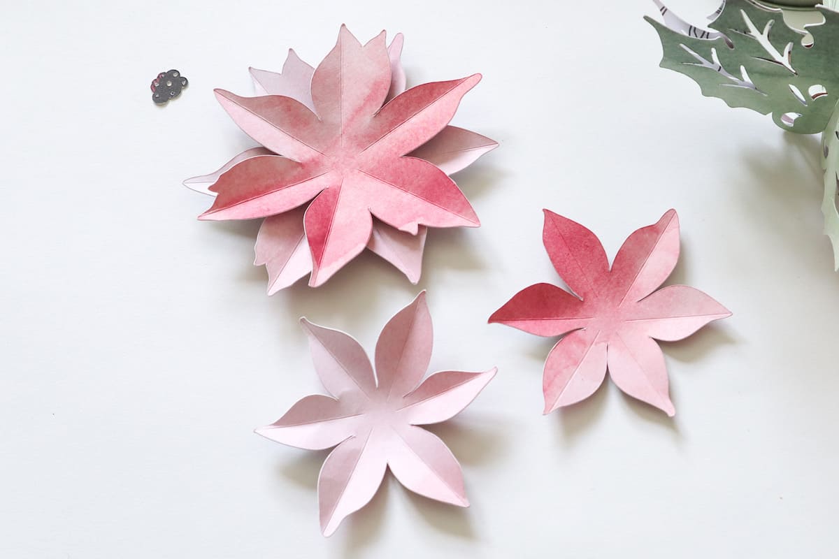paper 3D poinsettia flowers
