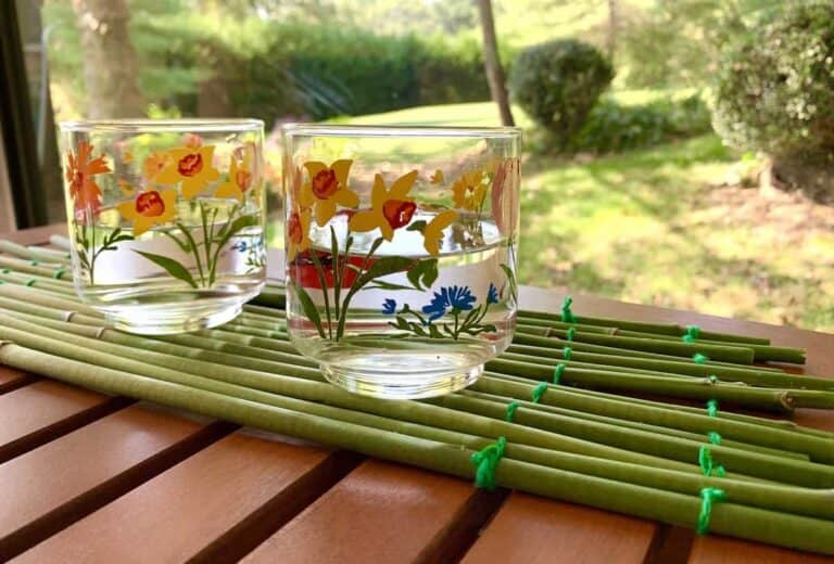 coasters made from hosta stems
