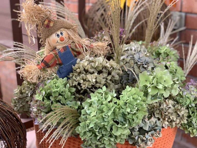 scarecrow in pot of hydrangea flowers on front porch