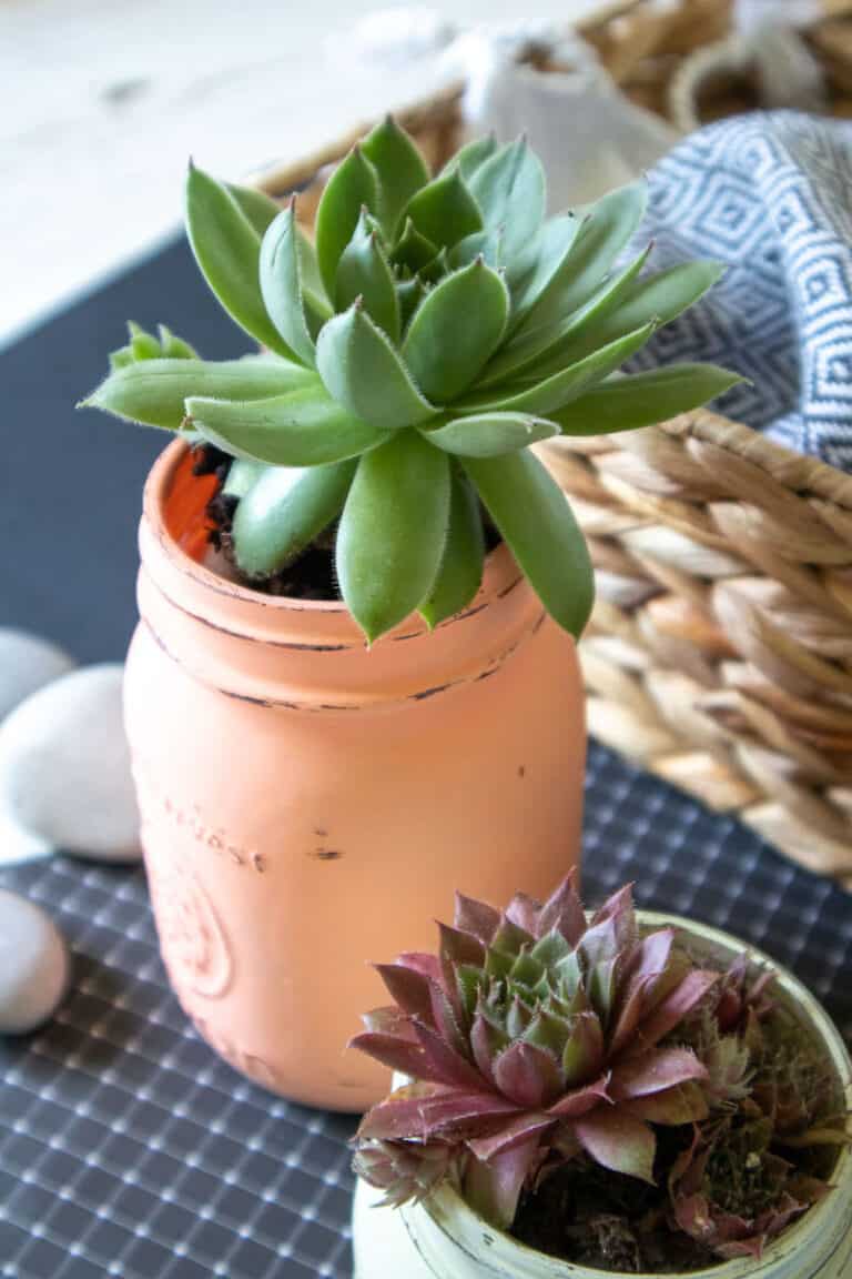 How to Chalk Paint Mason Jars (and Distress Them) Single Girl's DIY