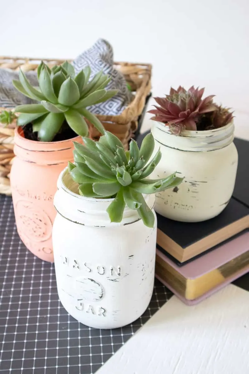 Chalk Paint Mason Jars with plants