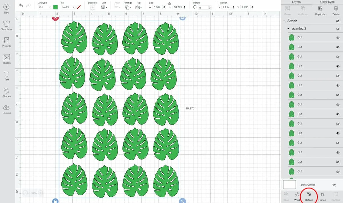 Cricut Design Space Monstera Leaf for Hawaiian Necklace Lei