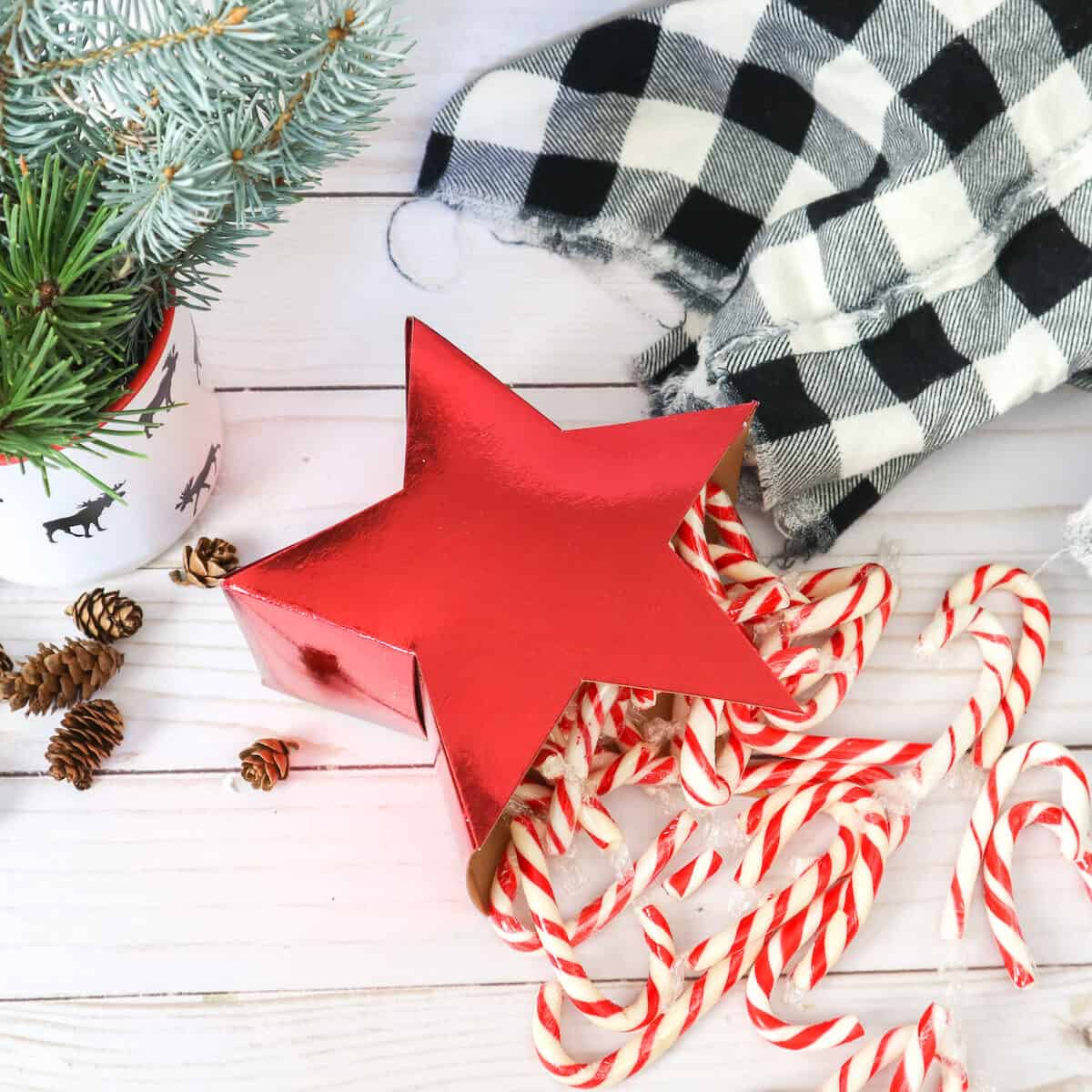 Red Star Gift Box with candy canes on white table