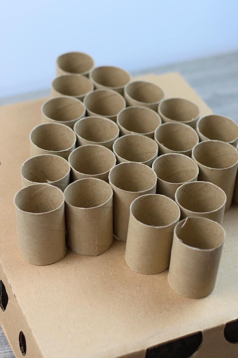 toilet paper rolls in the shape of a tree
