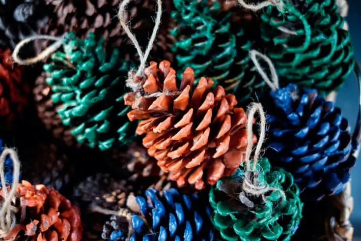 pine cones dipped in colored wax