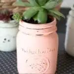 chalky painted mason jars with succulents