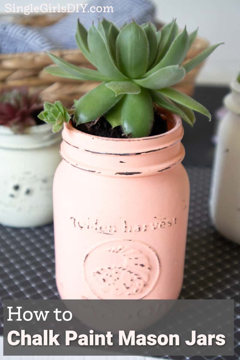 chalky painted mason jars with succulents