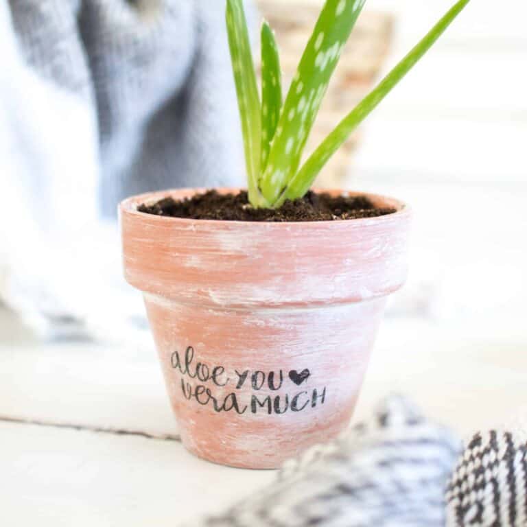 Aloe You Vera Much Planter Pot