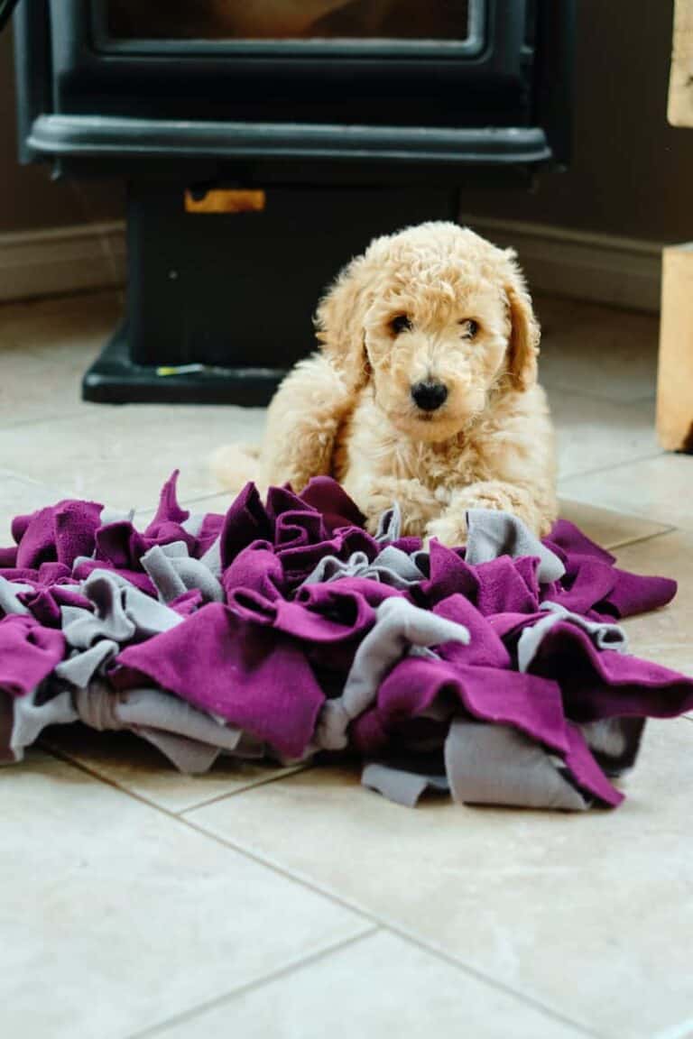 puppy laying on a snuffle mat in front of fireplace